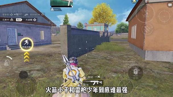 和平精英透视科技 - 实战型透视增强辅助