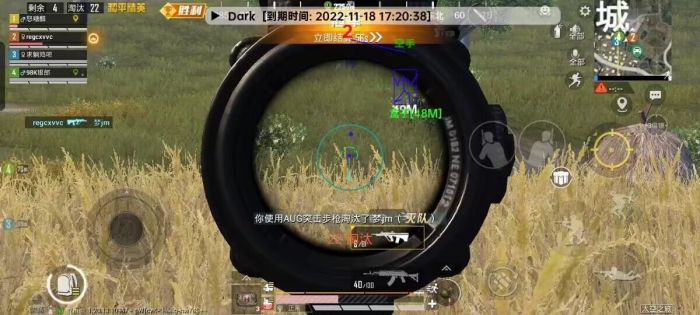和平精英范围拾取 - 自动物资助手免费版